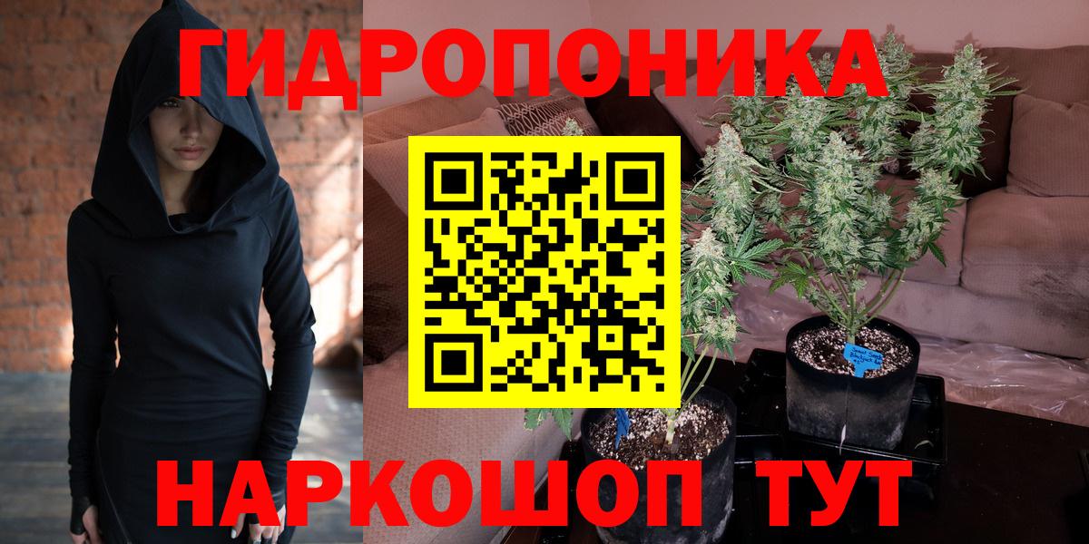 Марихуана план Дедовск
